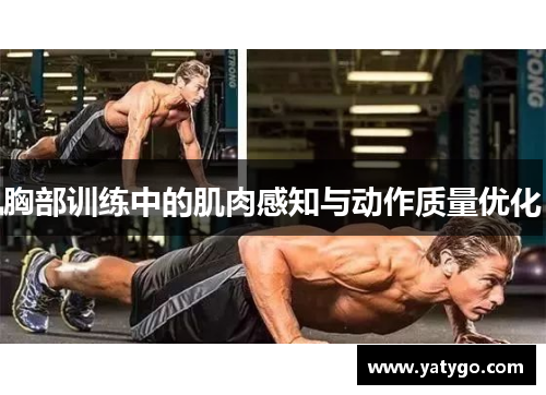 胸部训练中的肌肉感知与动作质量优化